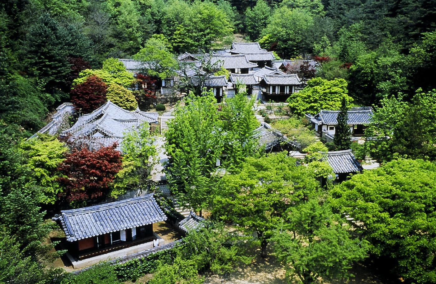 0813 예안향교, 제63대 이필상 전교 취임식 개최 (2).JPG