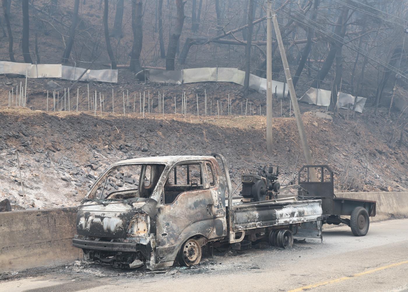 1-11 사진(영양군, 산불진화에 총력전).jpg