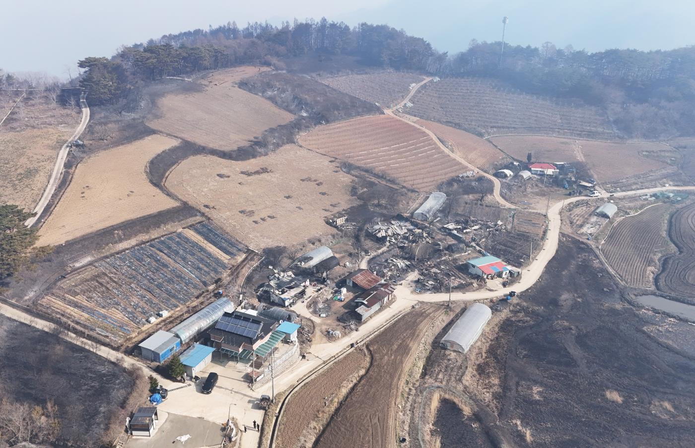 1-2 사진(영양군, 산불 피해 농가에 신속한 지원을 위해 TF팀 구성).jpg