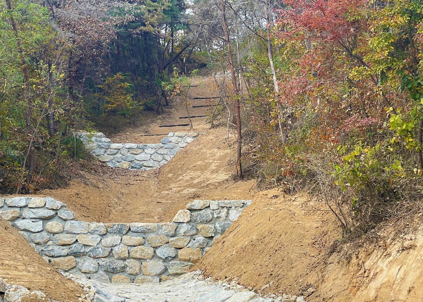0115 안동시 건강한 숲, 그린시티 안동 조성 (2).jpg