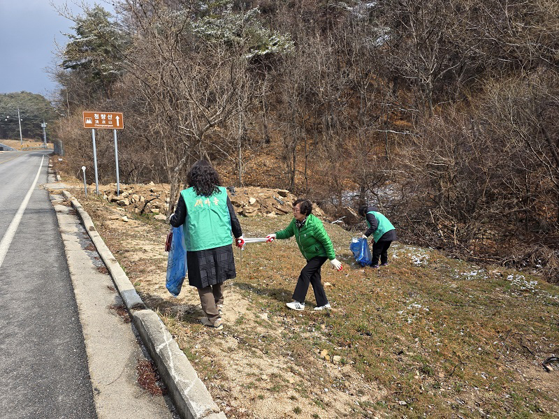 0321 도산면 새마을부녀회, 봄맞이 환경정화활동 실시 (3).jpg
