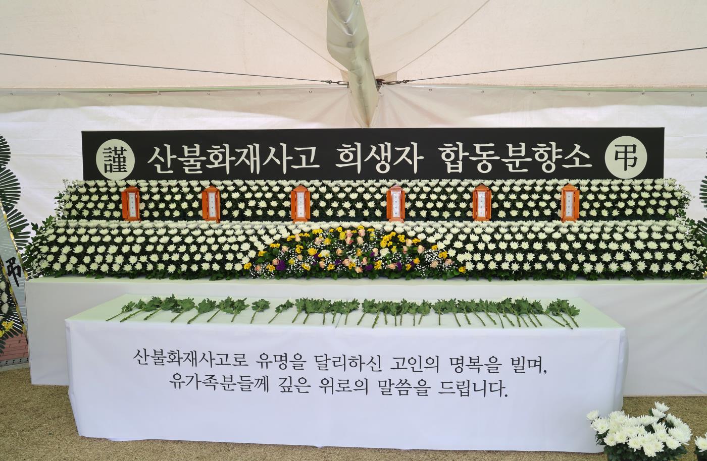 1-4 사진(영양군, '군민애도기간'지정).jpg