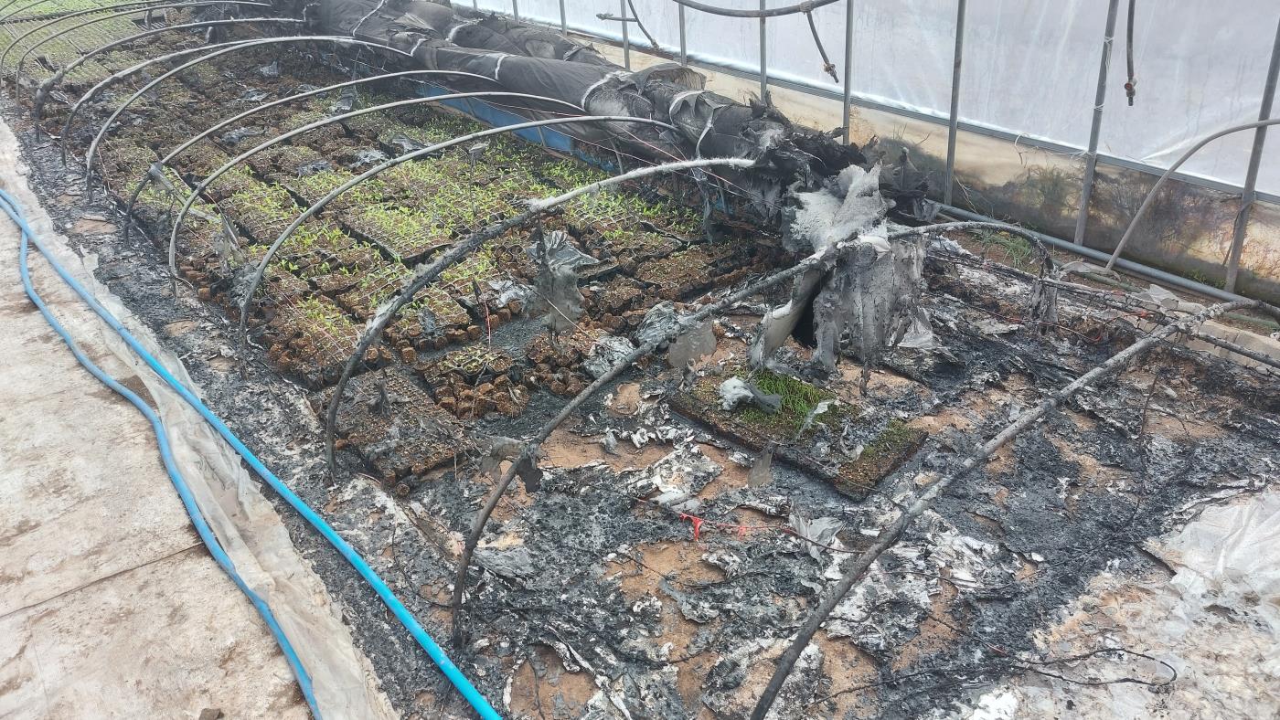 3-3 사진(바빠지는 농사철 고추 육묘상 화재 유의).jpg