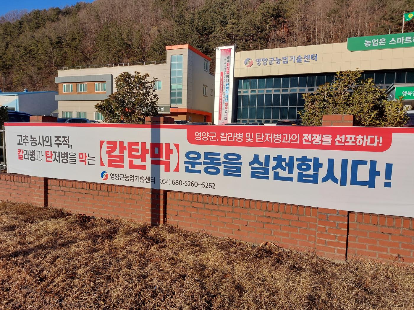 2-3 칼탄막운동.jpg