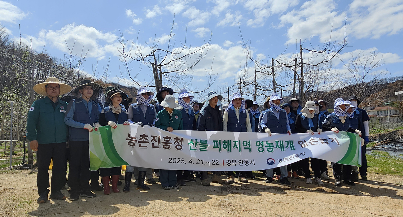 0424 농촌진흥청 직원, 안동시 산불피해 농가 일손돕기 지원 (1).jpg
