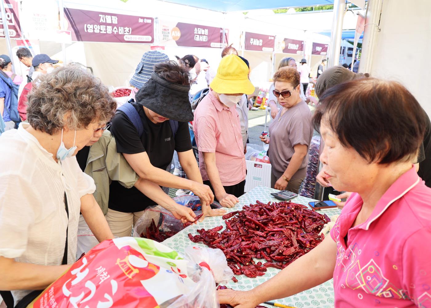 1-3 사진(2024년 영양고추 핫페스티벌(2) ).jpg