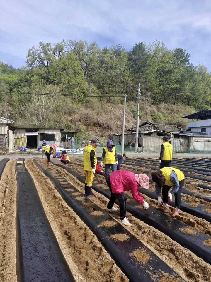 0424 안기동 주민자치회 ‘나눔의 씨앗’을 심다 (2).jpg