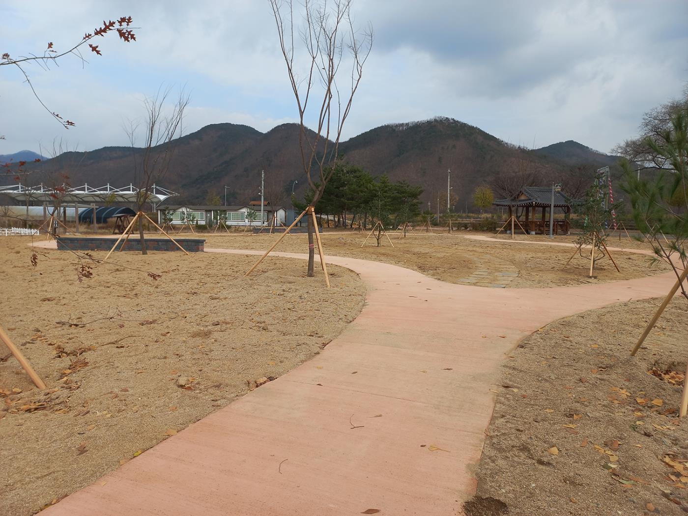 0105 안동시 보호수 주변 녹색쌈지숲 조성 추진 (2).jpg