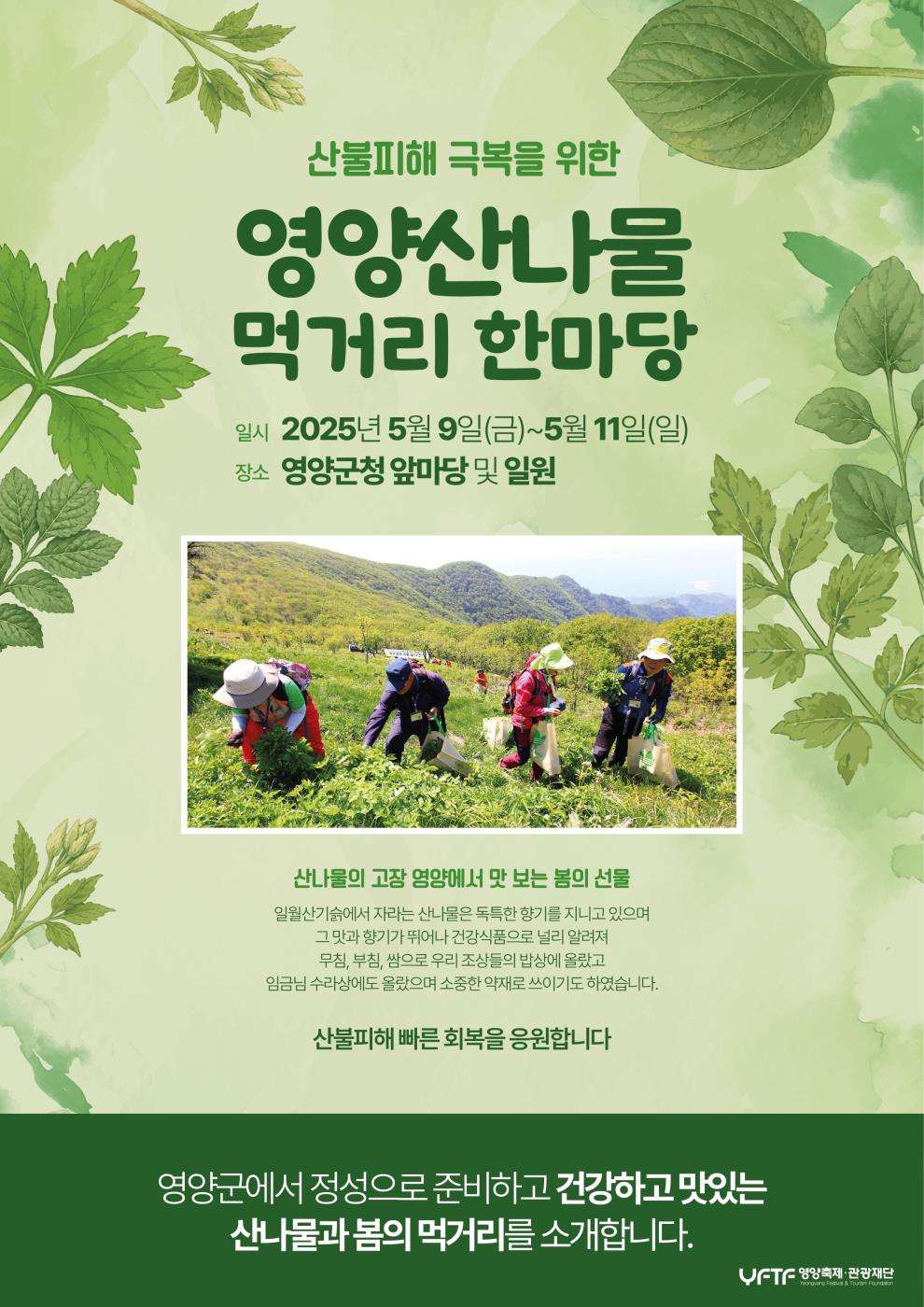 1-2 사진(영양군 산나물먹거리 한마당).jpg