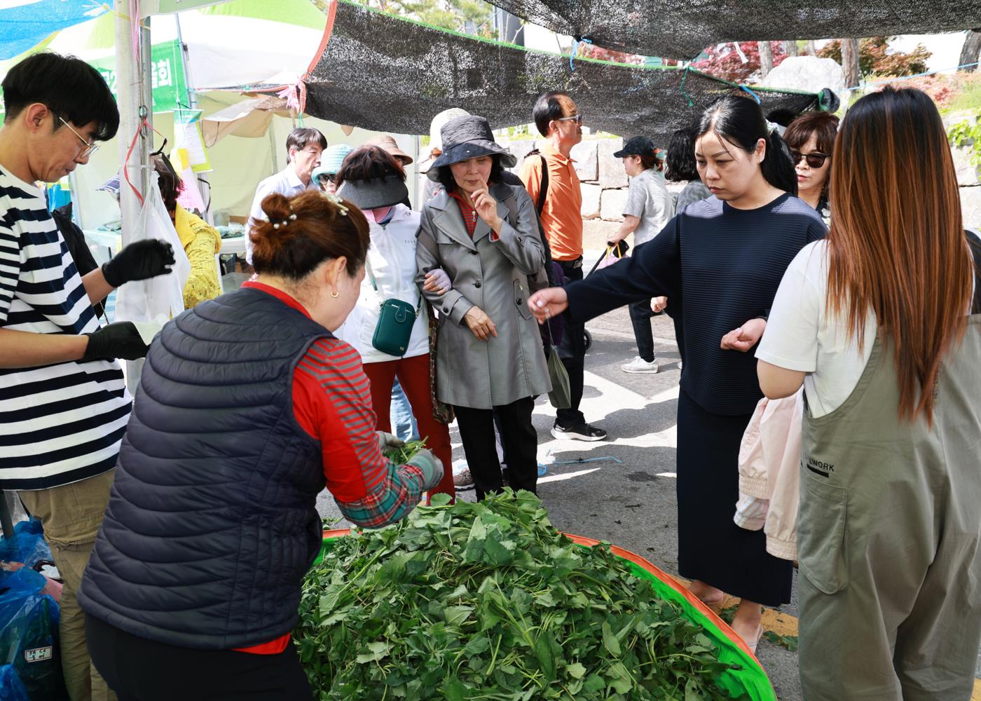 1-2 사진(여러분의 방문이 영양군의 치유가 됩니다).jpg
